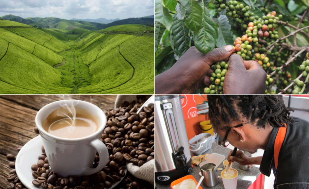 coffee export business plan in ethiopia