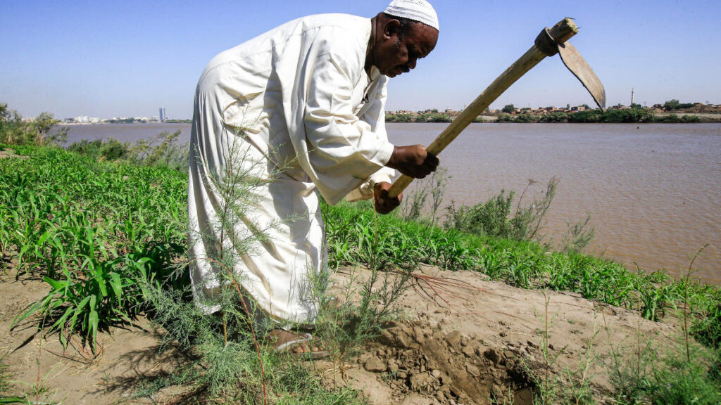 Sudanese hope Ethiopian dam ends Blue Nile floods – Embassy of Ethiopia